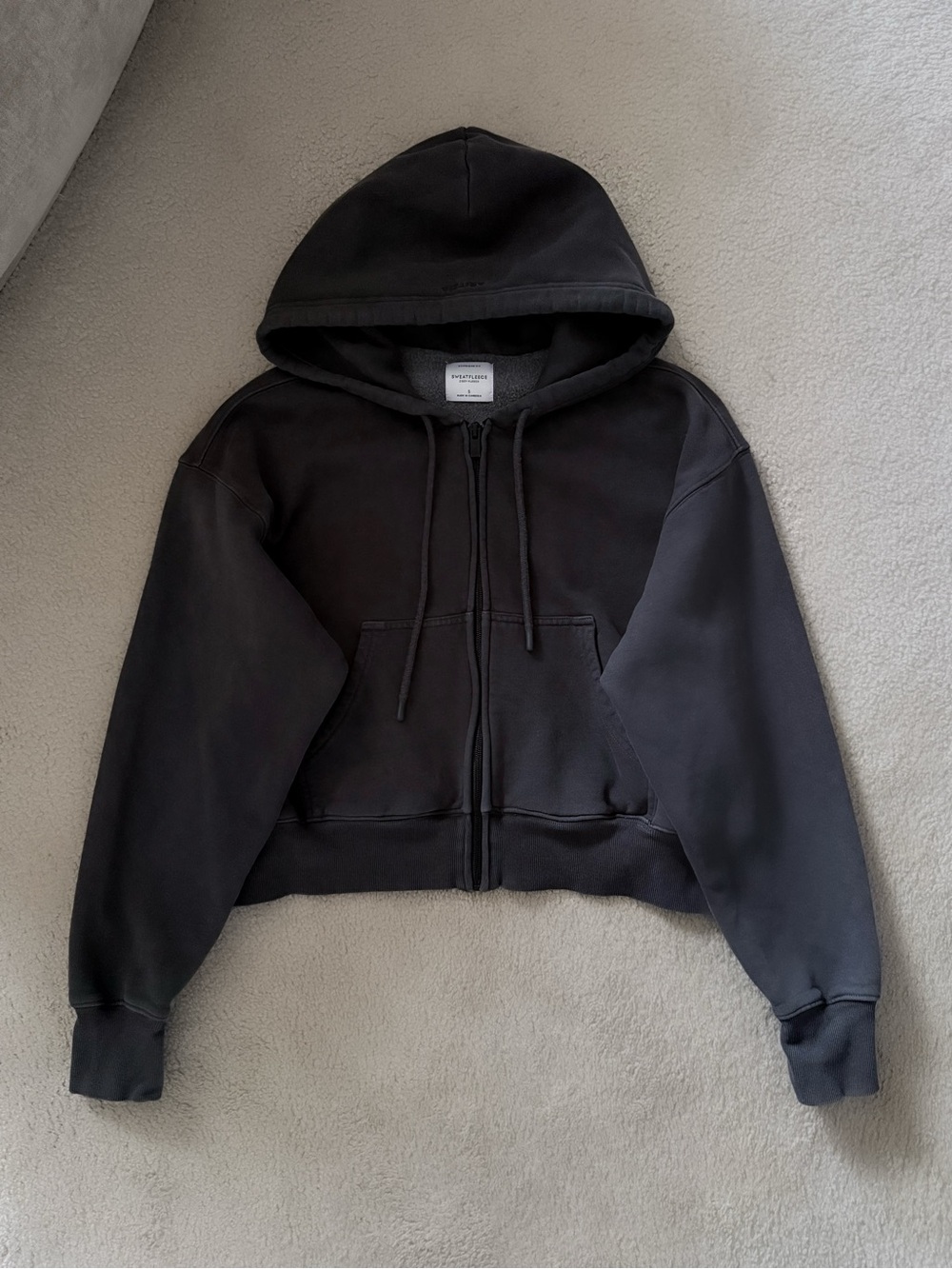 Aritzia Cozy Sweatfleece Boyfriend Boxy Zip Hoodie